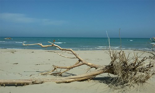 Spiaggia Petacciato - Mare di Petacciato, vacanze al mare in Molise, accesso privato spiaggia