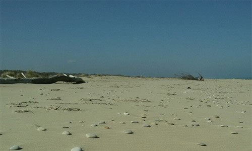 Mare di Petacciato - Vacanze al mare in Molise, spiaggia privata B&B La Palma